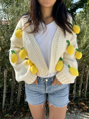 Grossiste ACAJOU - Cardigan tricot patch citron