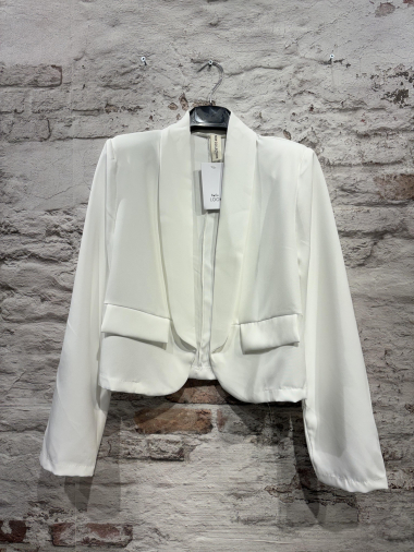 Wholesaler FOLIE LOOK - Classic plain jacket with long sleeves