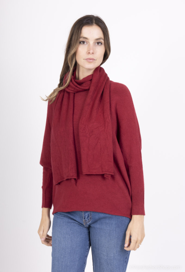 Wholesaler For Her Paris - Sweater and scarf