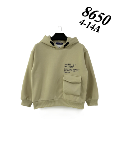 Wholesaler Freeboy - SWEATSHIRT