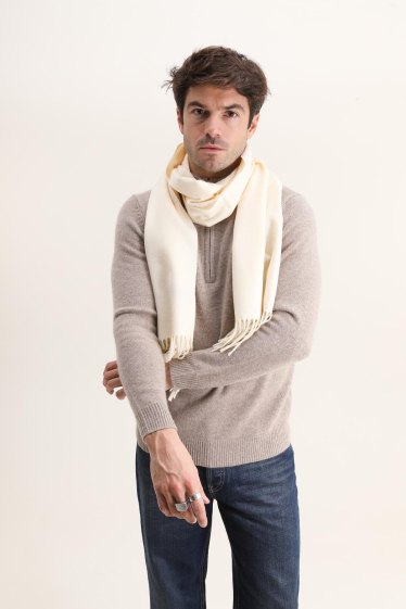 Wholesaler Hologramme Paris - Cashmere Sensation Scarf