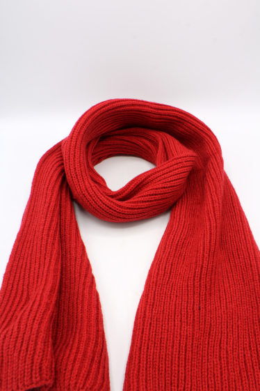 Wholesaler Hologramme Paris - Cashmere Sensation Scarf