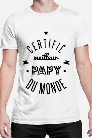 Wholesaler I.A.L.D FRANCE - cértifié papy monde - Men's T-shirt