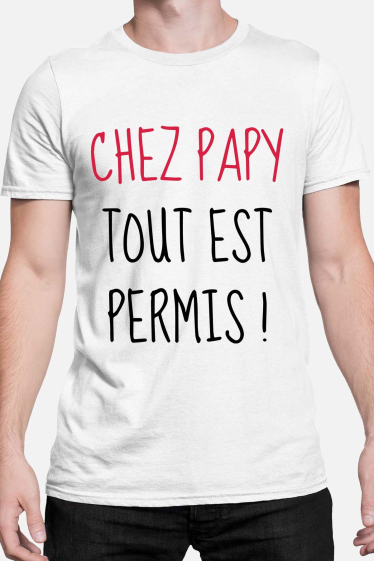 Wholesaler I.A.L.D FRANCE - papy tout permis - Men's T-shirt