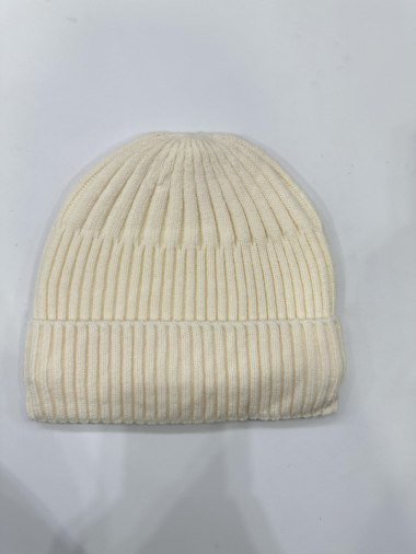 Mayorista LEXA PLUS - Gorro forrado de pelo para hombre.