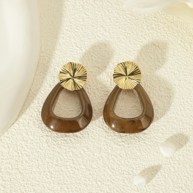 Wholesaler Eclat Paris - Golden Acrylic Brown Drop Earrings