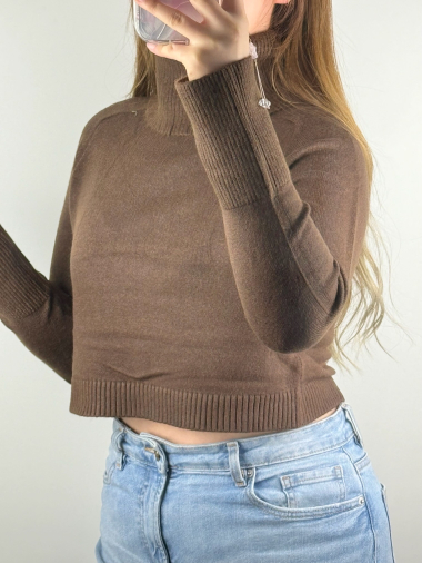 Wholesaler M&D FASHION - Short turtleneck sweater with fancy sleeves