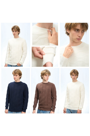 Wholesaler Mentex Homme - Men's plain round neck long sleeve sweater