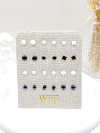 Wholesaler WEC Bijoux - SET OF 12 STAINLESS STEEL EARRINGS + DISPLAY