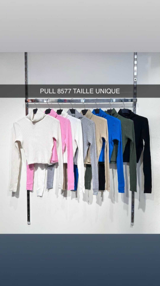 Grossiste Willy Z - Pull col roulé