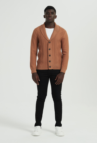 Grossiste Yves Enzo - Cardigan torsadé en cashmere touch