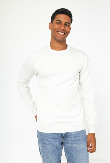 Wholesaler Aarhon - Basic turtleneck sweater