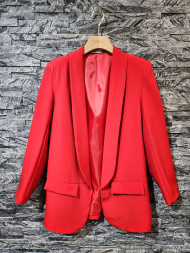 Wholesaler Adilynn - Plain colored blazer with long sleeves, two false pockets