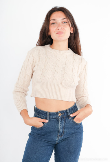 Wholesaler AISABELLE - Chunky cropped top knit sweater with long sleeve