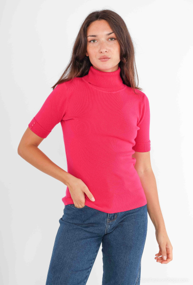 Wholesaler BL Fashion - Turtleneck sweater