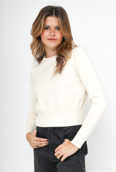 Wholesaler BL Fashion - Feminine sweater