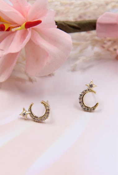 Wholesaler Bellissima - 925 silver earring