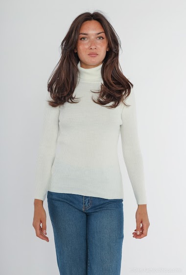 Wholesaler BIGDART - Turtleneck sweater
