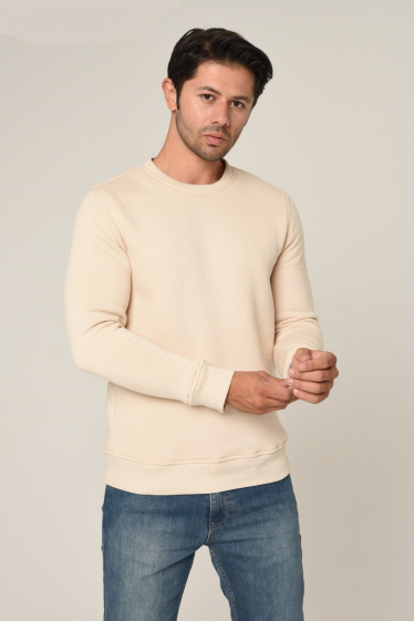 Wholesaler KHARMA - plain men's sweatshirt