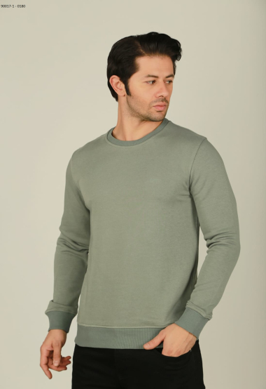 Wholesaler BRANGO - plain men's sweatshirt