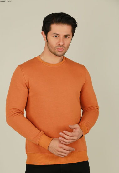 Wholesaler BRANGO - plain men's sweatshirt