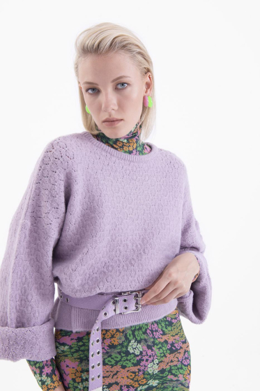 Wholesaler BSL - Knitted sweater - BSL
