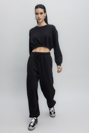 Wholesaler BSL - Short Hoodie and Basic Jogger Pants - BSL