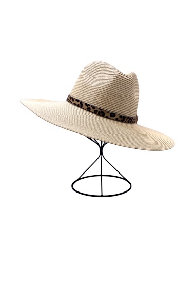 FEDORA STYLE HAT WITH WIDE BRIM AND AROUND DECORATION