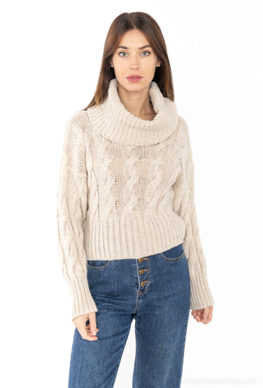 Wholesaler Catherine Style - Cropped twisted cowl neck sweaters