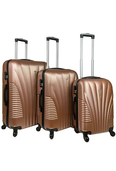 Wholesaler Chapon Maroquinerie - Collection of 3 ABS suitcases: SHELL