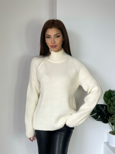 Wholesaler Ciao Milano - Zippered Sweater