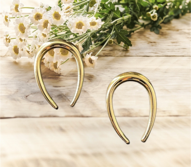 Wholesaler CICI&H - stainless steel earrings