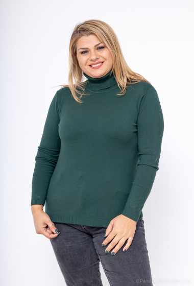 Grossiste CMP55 - pull doux col roulé grand taille