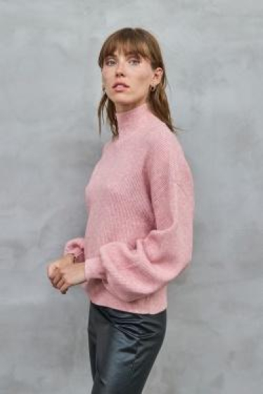 Wholesaler Copperose - short jumper with high neck in fine ribbed knit