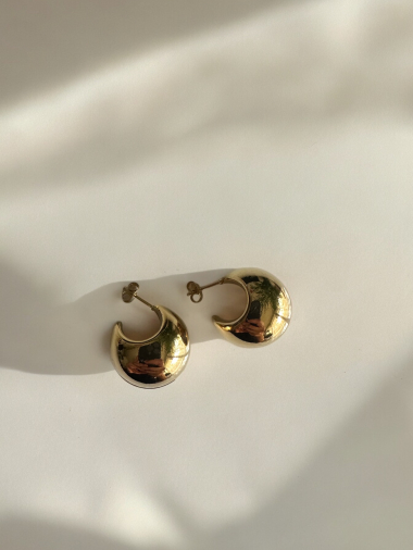 Wholesaler D Bijoux - Stainless steel earrings