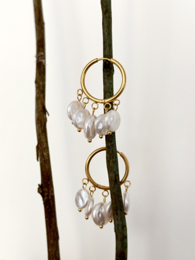 Wholesaler D Bijoux - Stainless steel dangling earrings