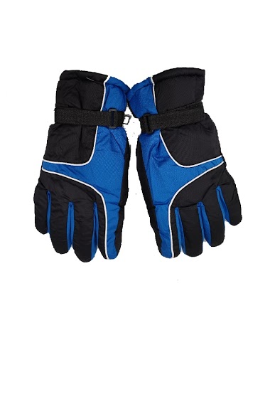 Wholesaler Da Fashion - Women ski glove