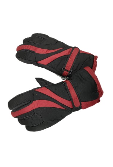 Wholesaler Da Fashion - ski glove man