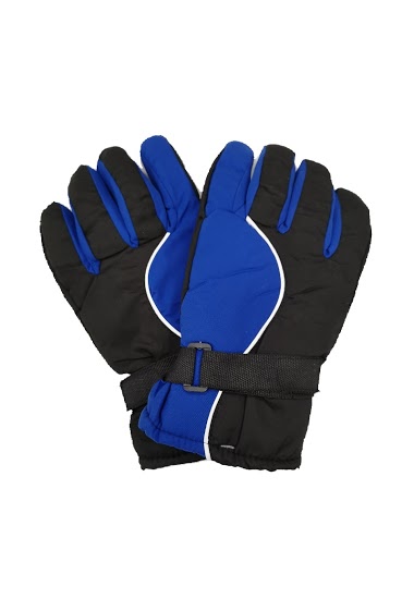 Wholesaler Da Fashion - Ski glove