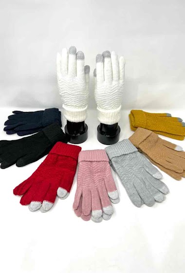 Großhändler DH DIFFUSION - Women bicolor touch gloves