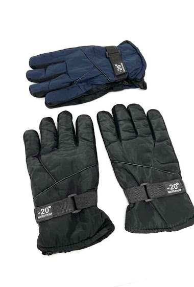 Wholesaler DH DIFFUSION - Men touch gloves fur lining