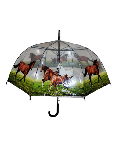 Großhändler DH DIFFUSION - Automatischer transparenter Regenschirm von Chevaux Horses – automatische Öffnung