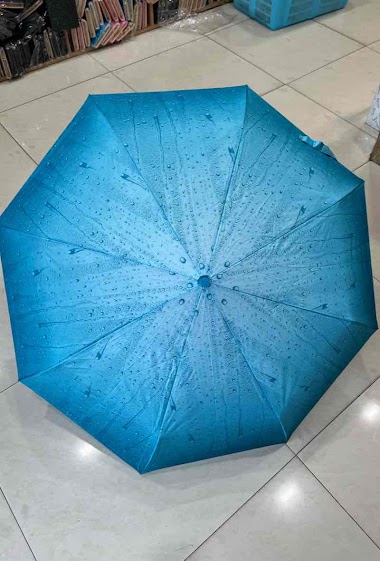 Grossiste DH DIFFUSION - Parapluies format sac
