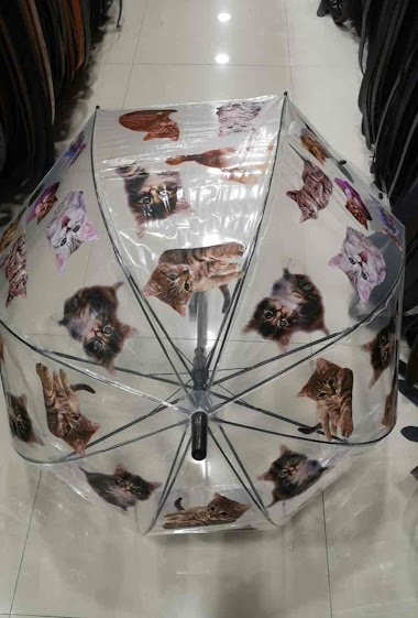 Großhändler DH DIFFUSION - Cat transparent umbrella
