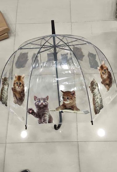 Grossiste DH DIFFUSION - Parapluies transparents Chats D