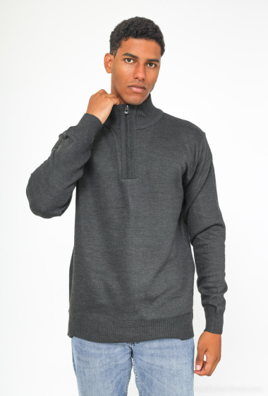 Wholesaler DYLAN STAR - Zipped Sweater