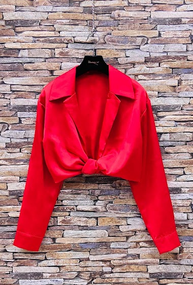Wholesaler Elle Style - ZARA blouse in satin with long sleeve.