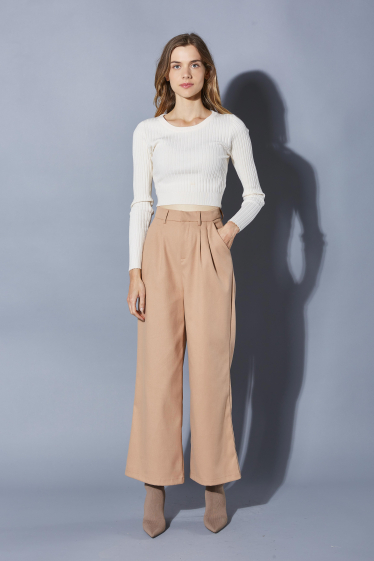 Wholesaler ELLI WHITE - Thick trousers with darts