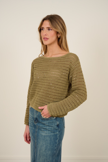 Wholesaler Feelkoo - Backless crocheted knit sweater