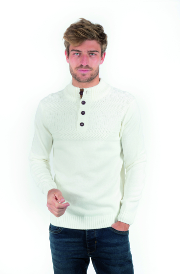 Wholesaler FRANCE DENIM - Fancy button collar sweater